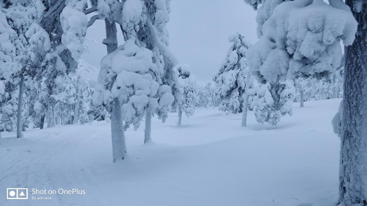 Apt 37 Rovaniemi Eksteriør bilde